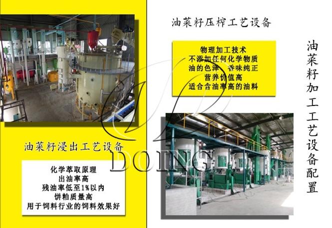 想上菜籽油加工项目？小榨浓香和浸出精炼，选哪条线先想清楚三件事
